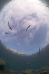 Snells window,Capernwray 10.5mm by Derek Haslam 